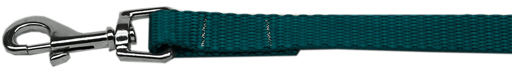 Plain Nylon Pet Leash 1in by 4ft Teal